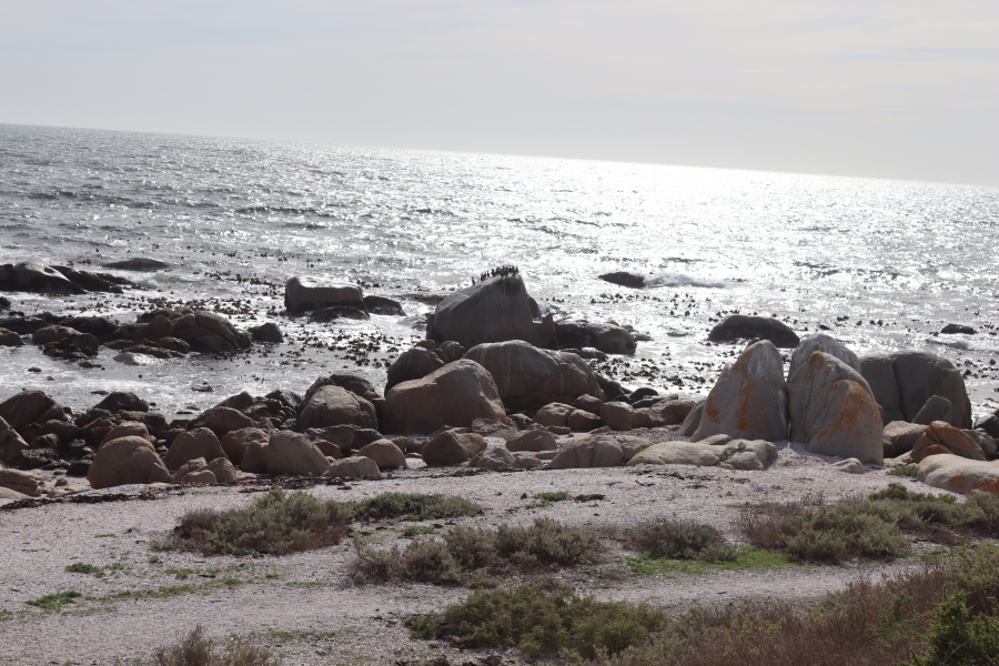 0 Bedroom Property for Sale in Britannia Bay Western Cape